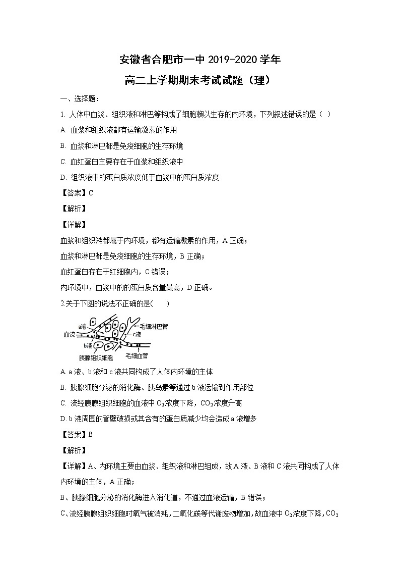 【生物】安徽省合肥市一中2019-2020学年高二上学期期末考试试题（理）（解析版）01