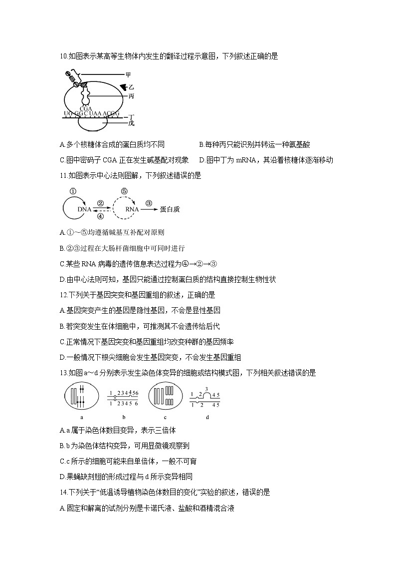 【生物】安徽省界首市2019-2020学年高二上学期期末考试（解析版）03