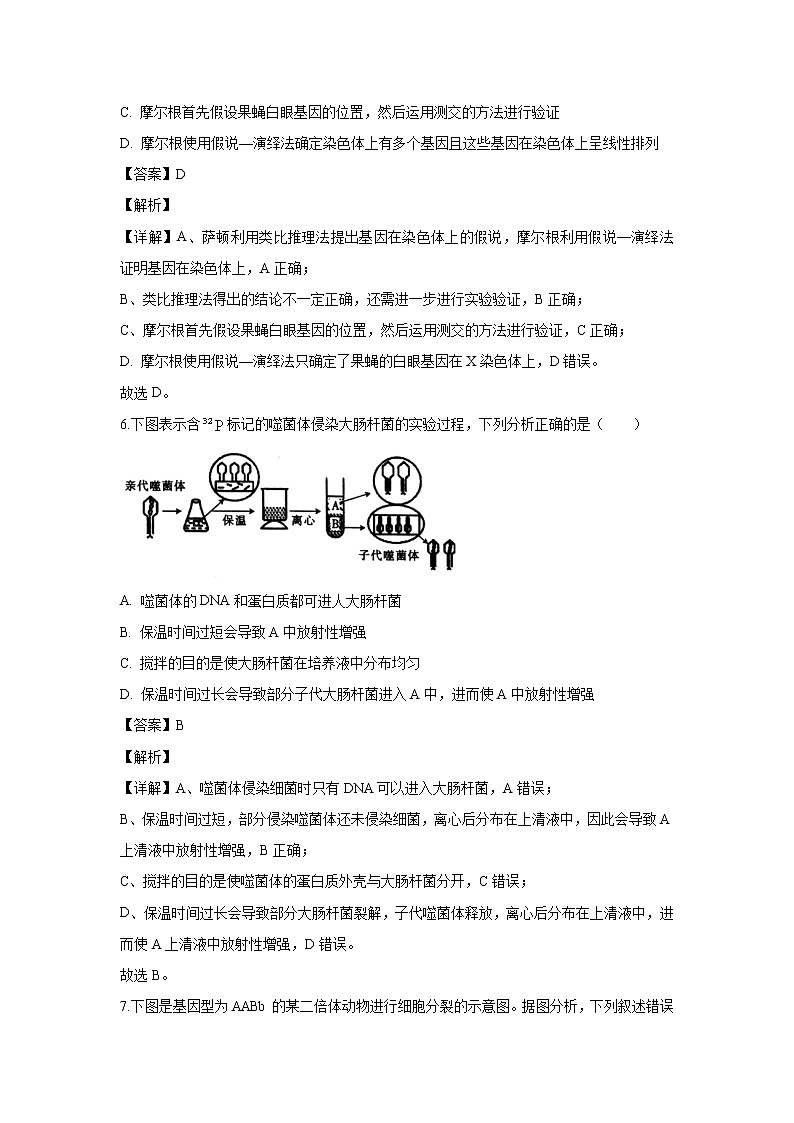 【生物】安徽省皖西南联盟2019-2020学年高二上学期期末考试试题（解析版）03