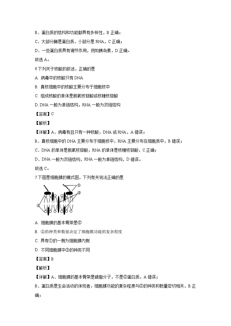 【生物】甘肃省酒泉市2019-2020学年高二上学期期末考试试题（解析版）03