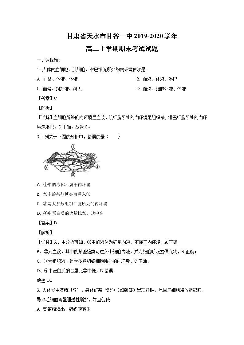 【生物】甘肃省天水市甘谷一中2019-2020学年高二上学期期末考试试题（解析版）01