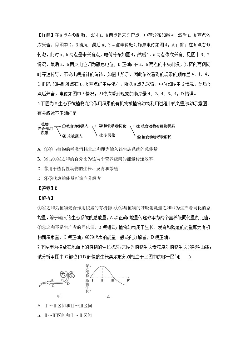 【生物】河北省邯郸市大名一中2019-2020学年高二上学期期末考试试题（解析版）第3页