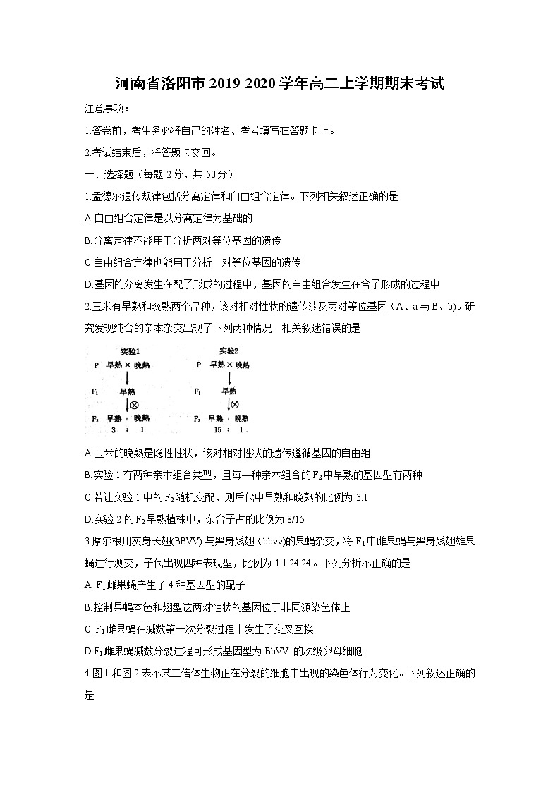 【生物】河南省洛阳市2019-2020学年高二上学期期末考试第1页