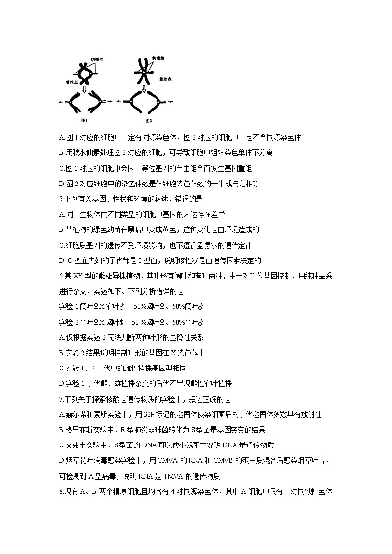 【生物】河南省洛阳市2019-2020学年高二上学期期末考试第2页