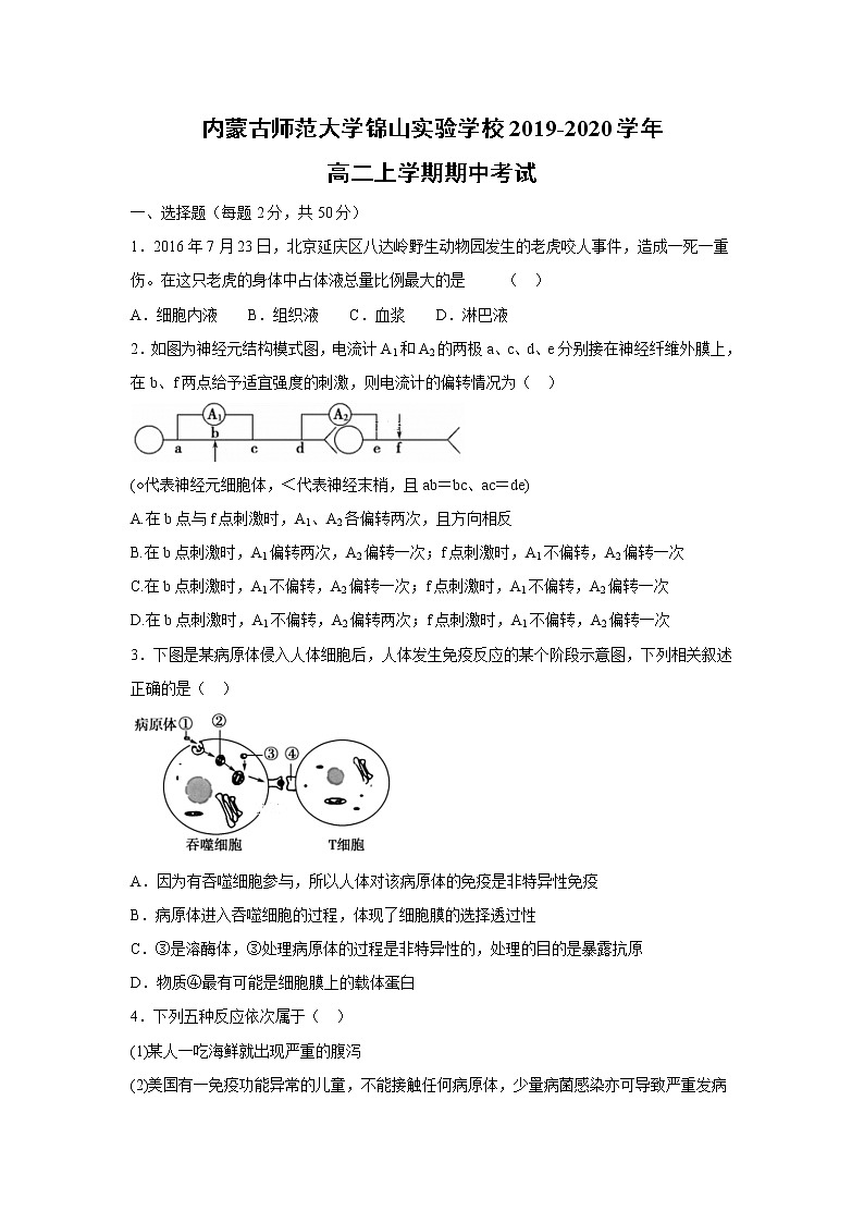 【生物】内蒙古师范大学锦山实验学校2019-2020学年高二上学期期中考试01