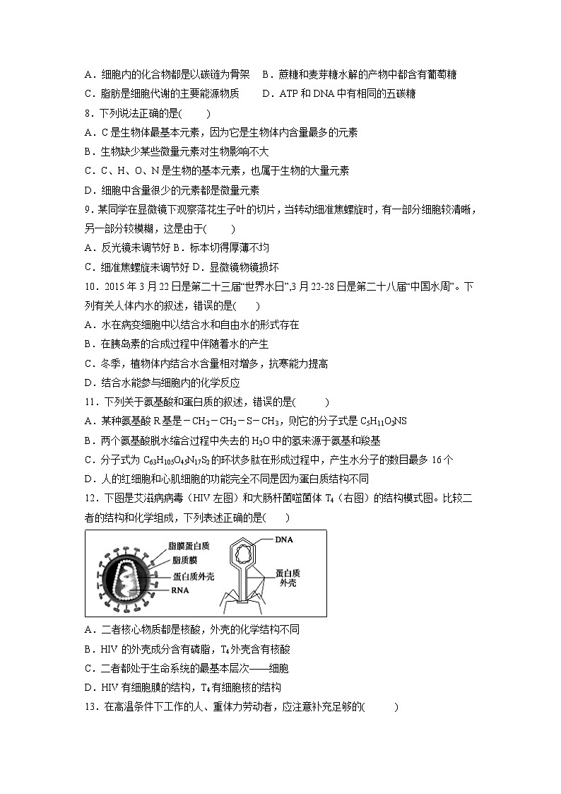 【生物】宁夏银川一中2019-2020学年高二上学期期中考试试题02
