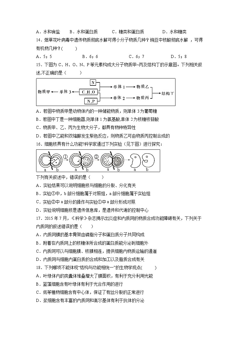 【生物】宁夏银川一中2019-2020学年高二上学期期中考试试题03