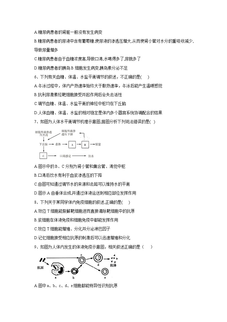 【生物】山东省济宁市第二中学2019-2020学年高二上学期期中考试试卷02