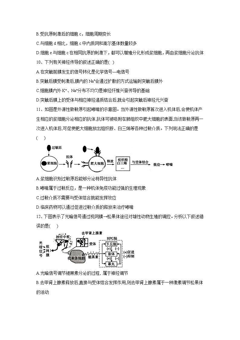 【生物】山东省济宁市第二中学2019-2020学年高二上学期期中考试试卷03