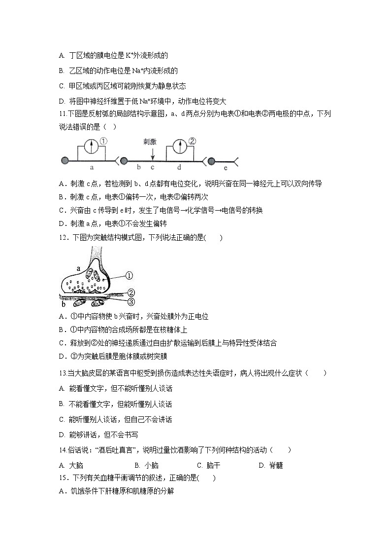 【生物】山东省济宁市泗水县2019-2020学年高二上学期期中考试试题03