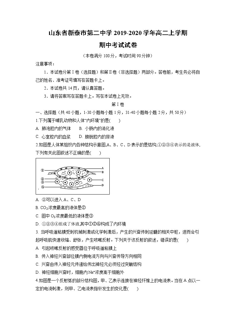 【生物】山东省新泰市第二中学2019-2020学年高二上学期期中考试试卷01