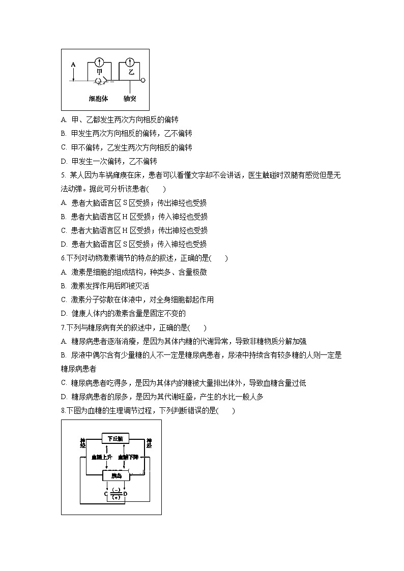 【生物】山东省新泰市第二中学2019-2020学年高二上学期期中考试试卷02