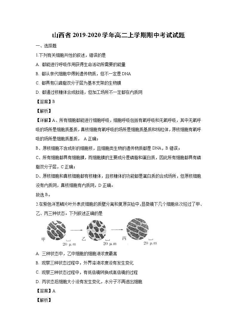 【生物】山西省2019-2020学年高二上学期期中考试试题（解析版）01