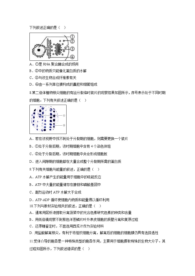 【生物】浙江省慈溪市三山高级中学等六校2019-2020学年高二上学期期中联考试题02