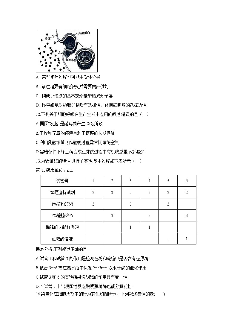 【生物】浙江省慈溪市三山高级中学等六校2019-2020学年高二上学期期中联考试题03
