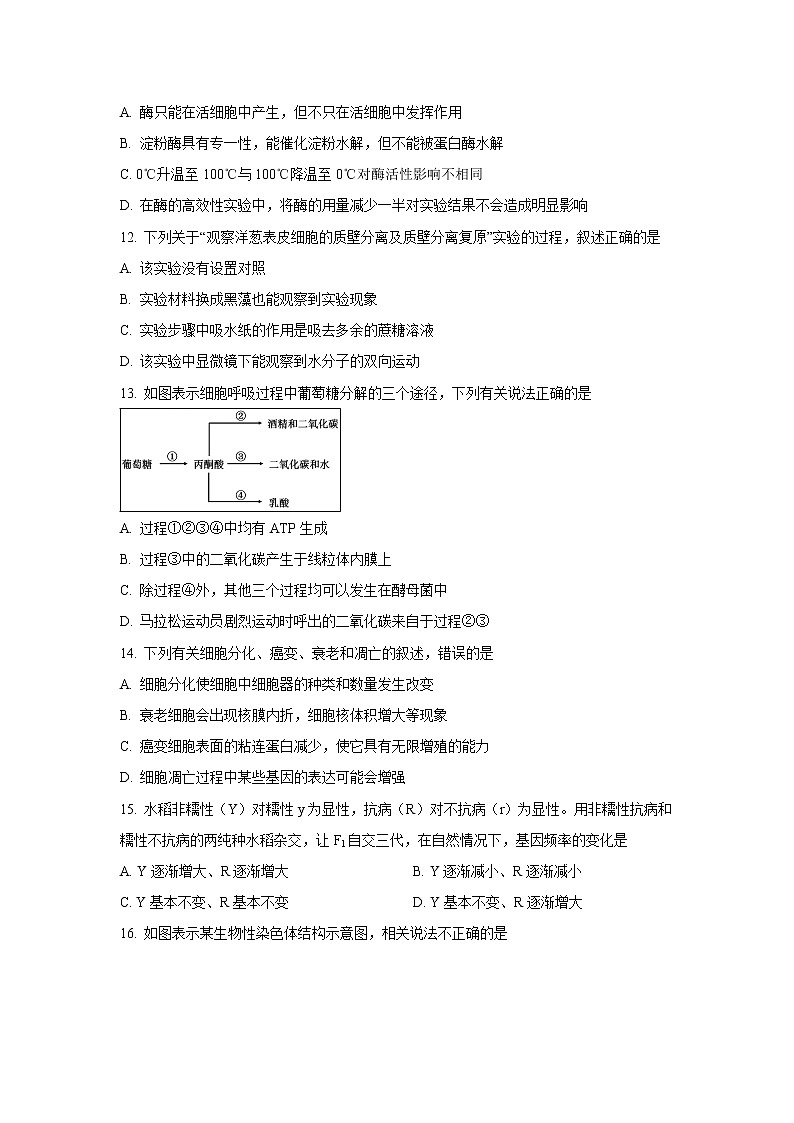 【生物】浙江省丽水四校2019-2020学年高二上学期期中联考试题03