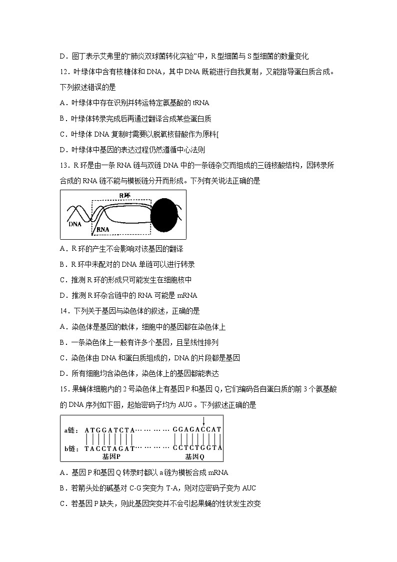 【生物】重庆市第一中学2019-2020学年高二上学期期中考试03