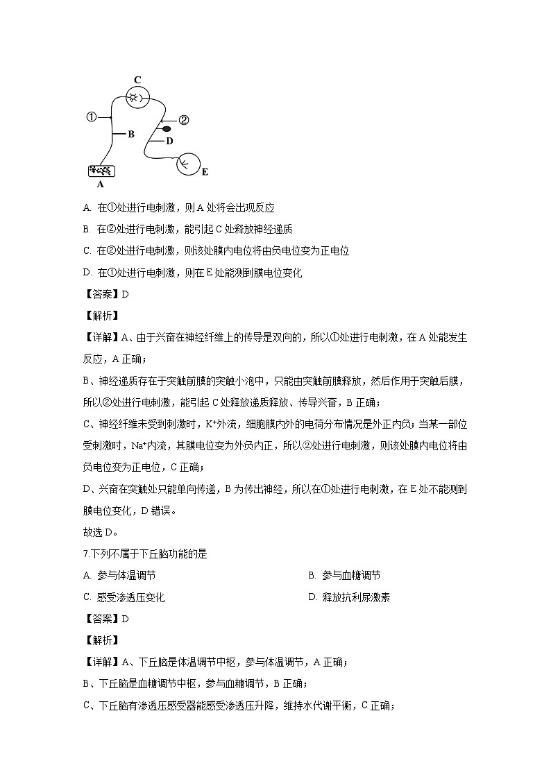 【生物】四川省西昌市2019-2020学年高二上学期期中考试试题（解析版）03