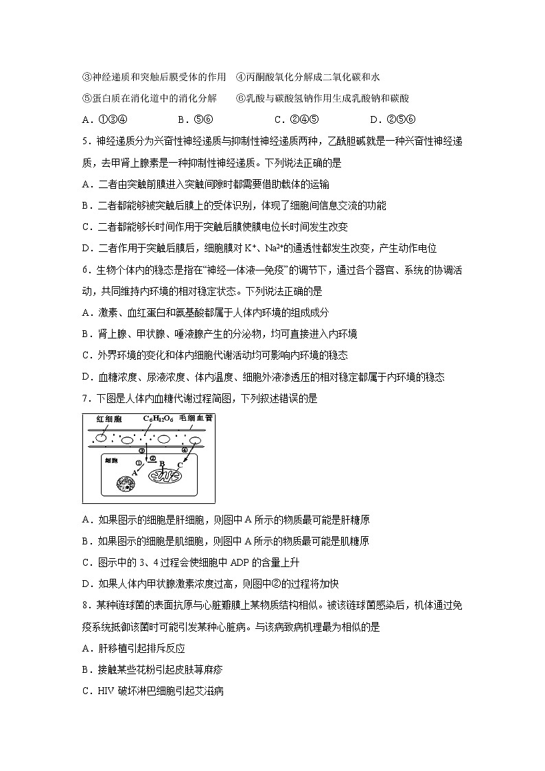 【生物】天津市六校（静海一中杨村中学宝坻一中大港一中等）2019-2020学年高二上学期期中联考试题02