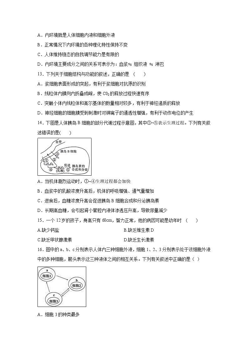 【生物】新疆沙雅县第二中学2019-2020学年高二上学期期中考试试题03