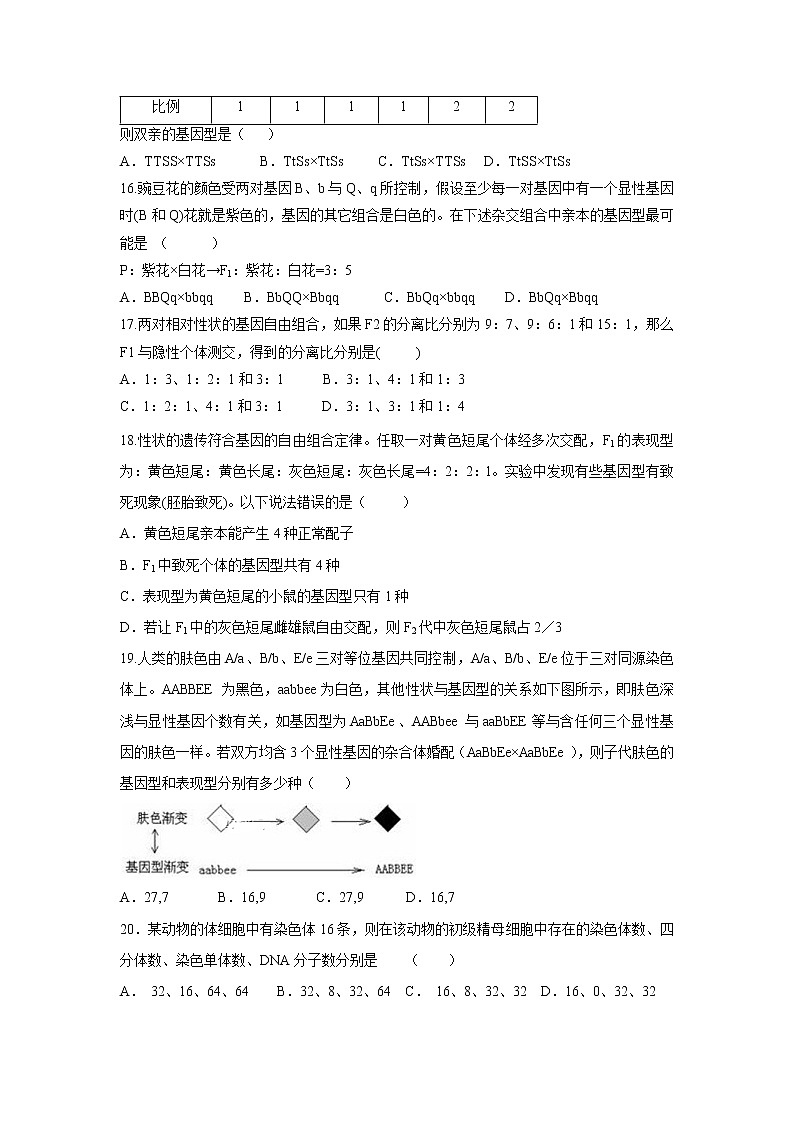 【生物】新疆昌吉回族自治州昌吉州第二中学2019-2020学年高二上学期期中考试（理）试卷03