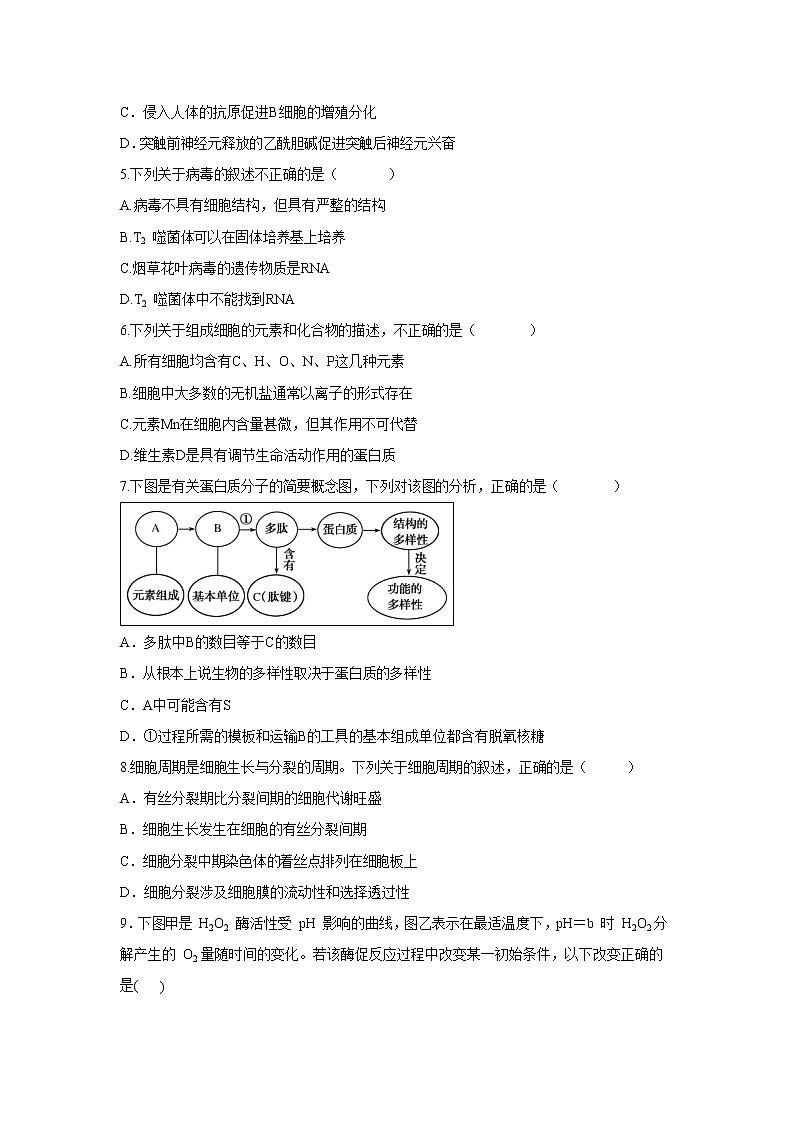 【生物】云南省昆明市官渡区第一中学2019-2020学年高二上学期期中考试试题02