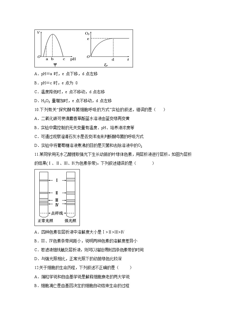 【生物】云南省昆明市官渡区第一中学2019-2020学年高二上学期期中考试试题03