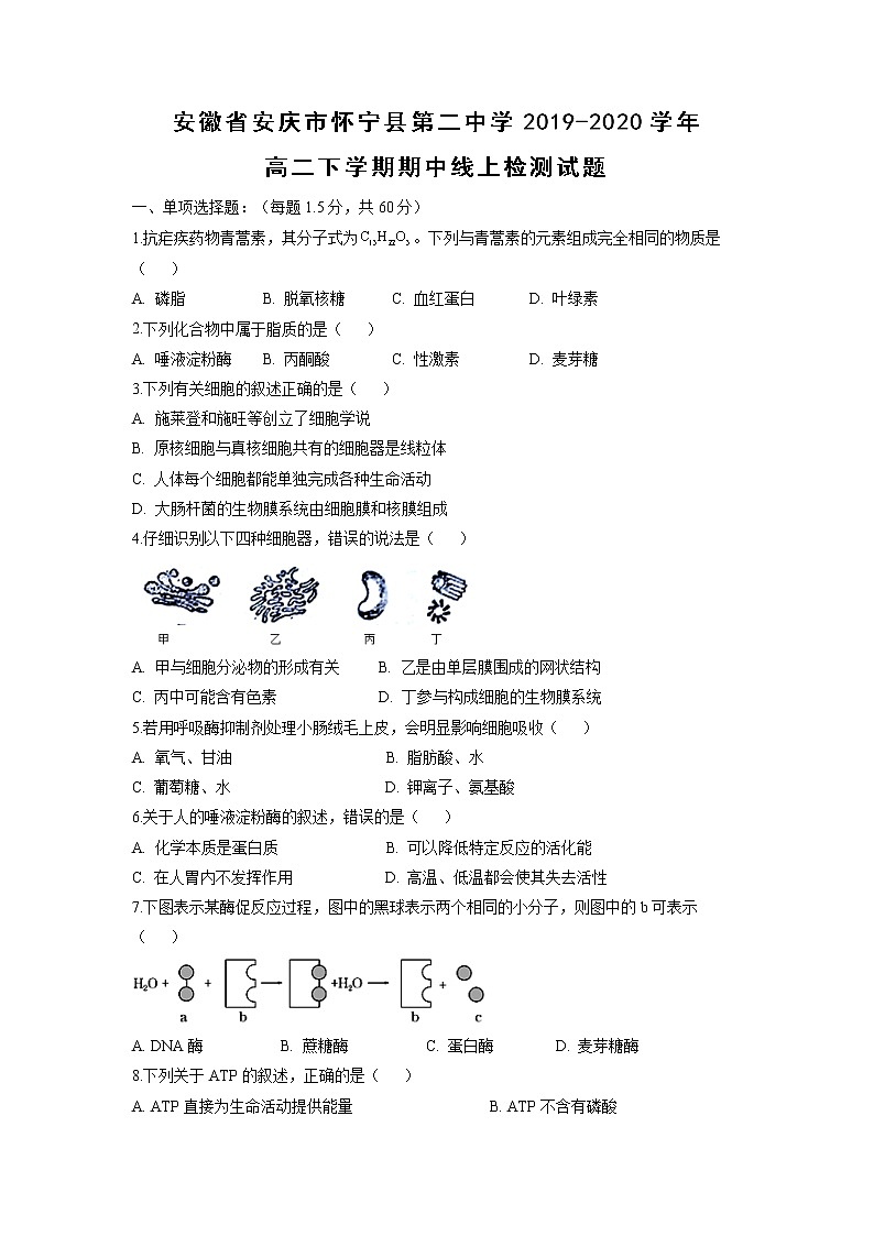 【生物】安徽省安庆市怀宁县第二中学2019-2020学年高二下学期期中线上检测试题01