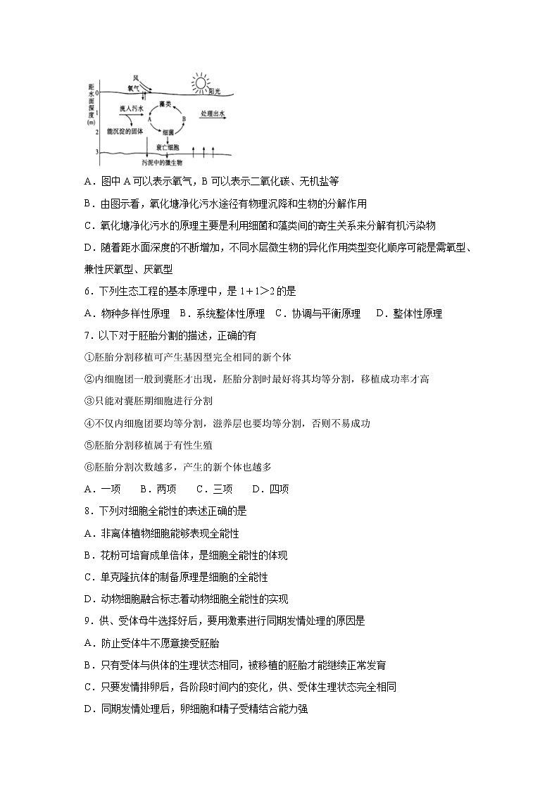 【生物】广东省江门市第二中学2019-2020学年高二下学期第二次考试（期中）试题（解析版）02