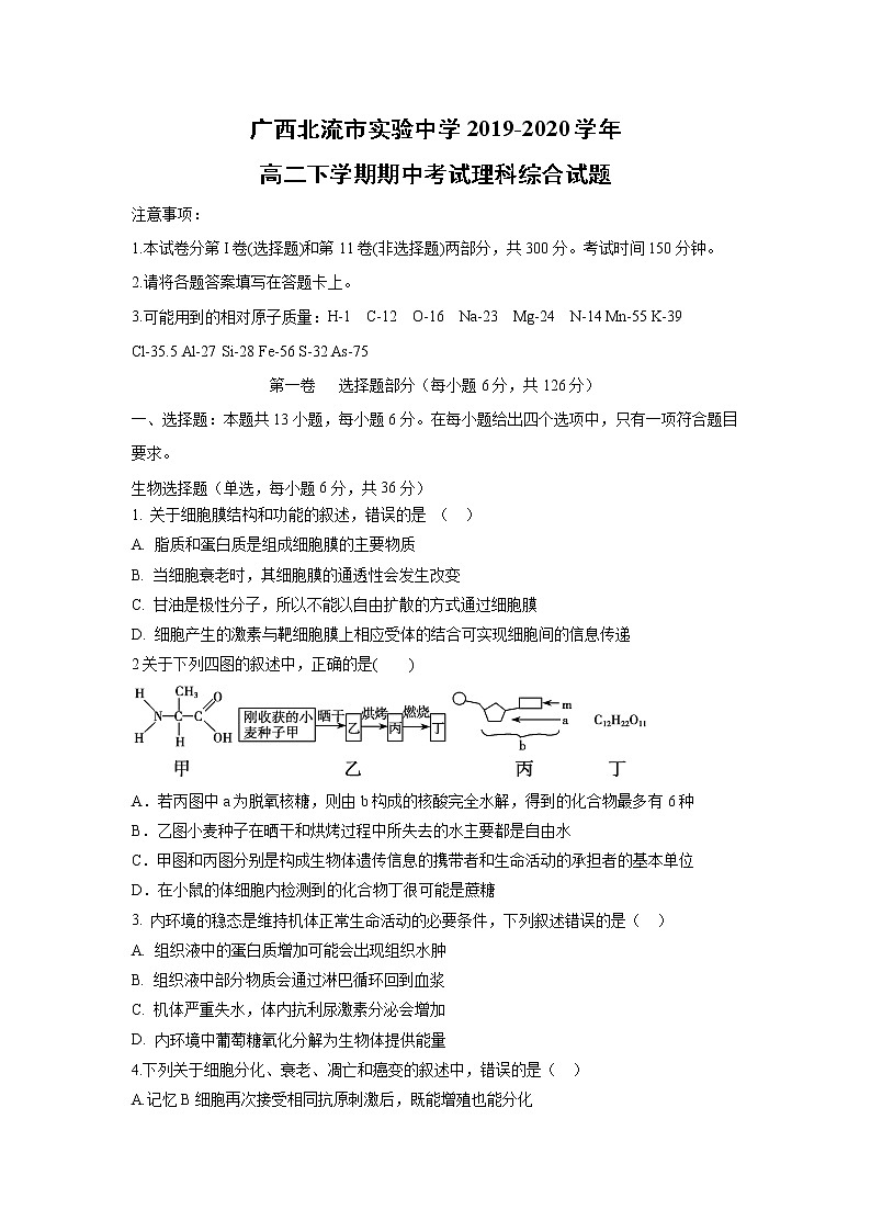 【生物】广西北流市实验中学2019-2020学年高二下学期期中考试理科综合试题（解析版）01
