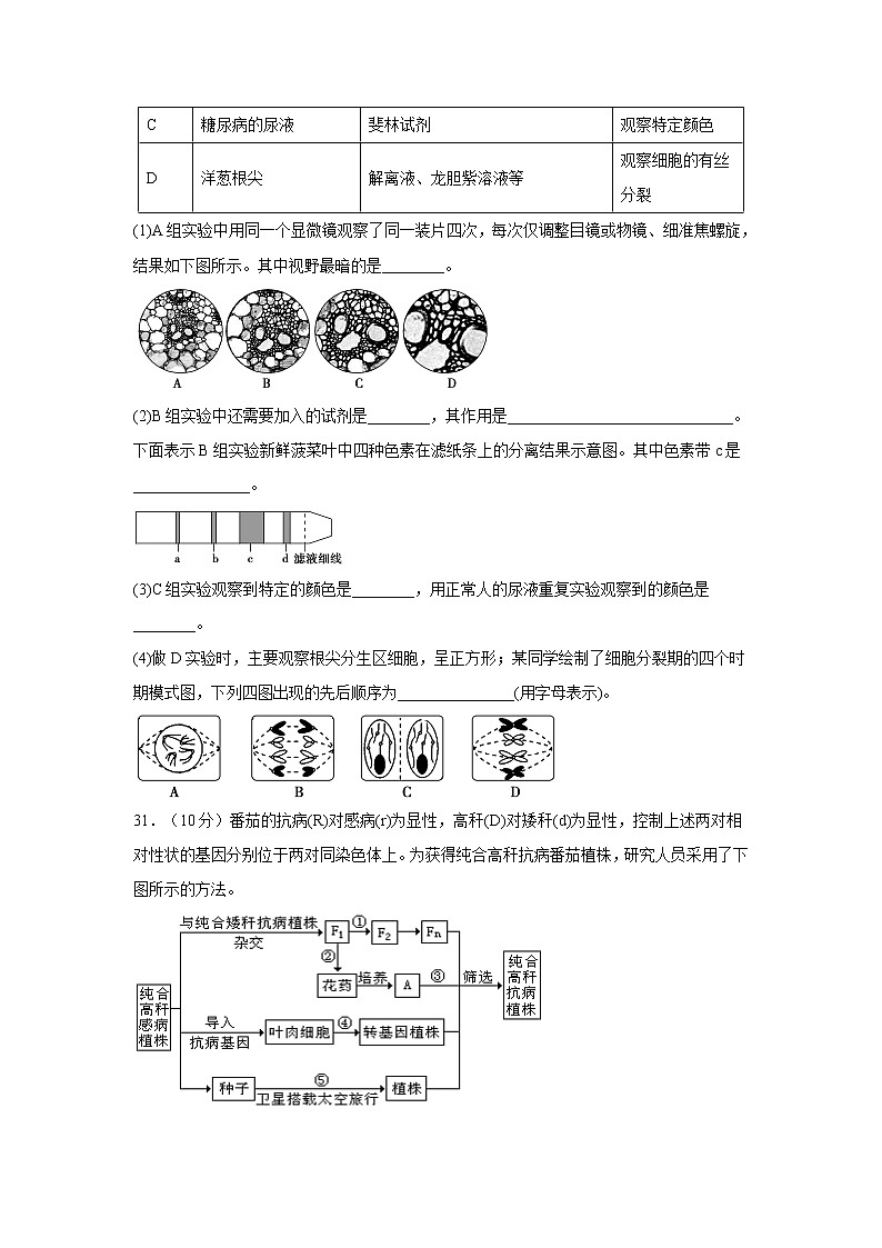 【生物】广西北流市实验中学2019-2020学年高二下学期期中考试理科综合试题（解析版）03