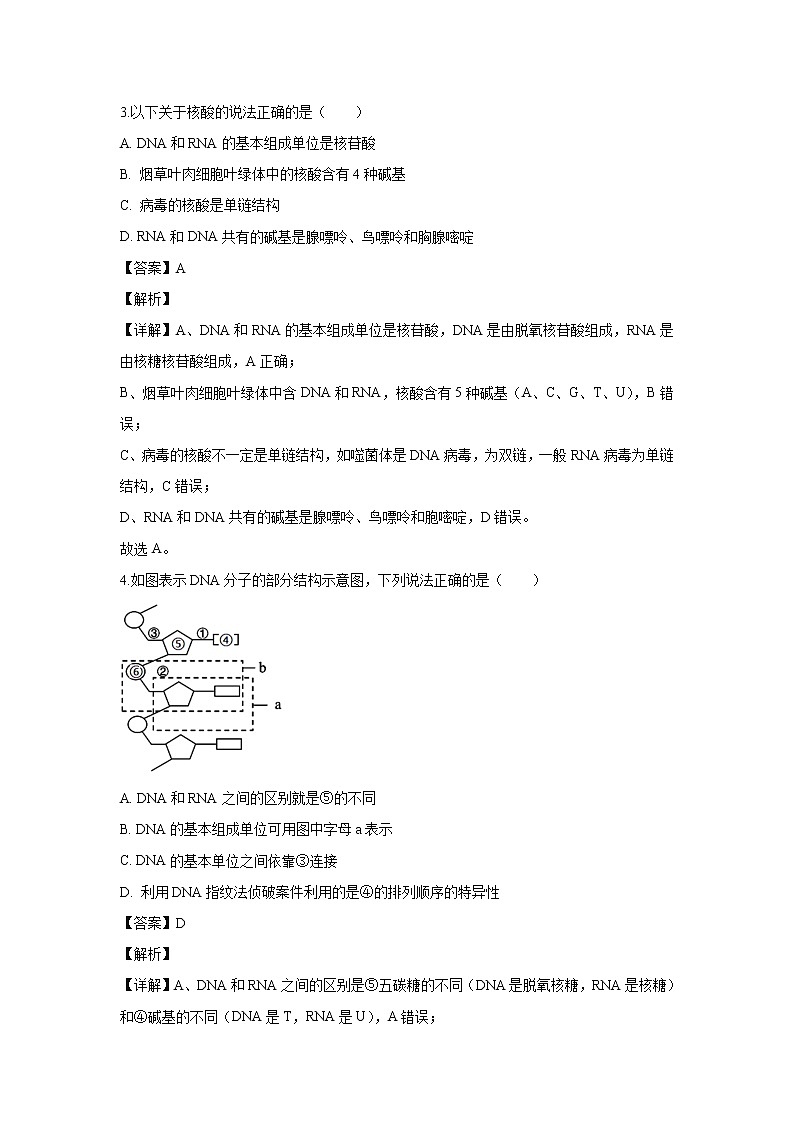 【生物】广西南宁市三中2019-2020学年高二下学期期中考试试题（解析版）02