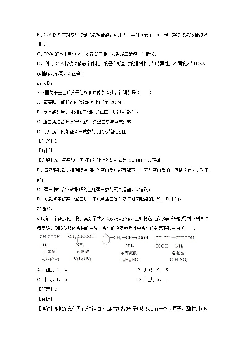 【生物】广西南宁市三中2019-2020学年高二下学期期中考试试题（解析版）03