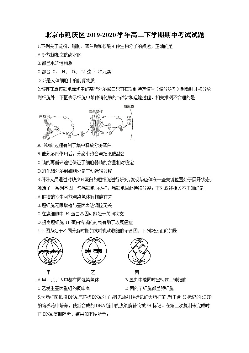 【生物】北京市延庆区2019-2020学年高二下学期期中考试试题01