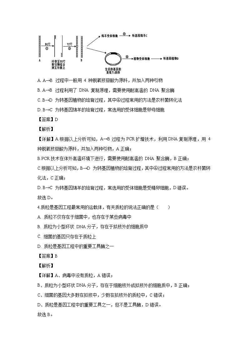 【生物】河北省石家庄二中2019-2020学年高二下学期期中考试试题（解析版）02