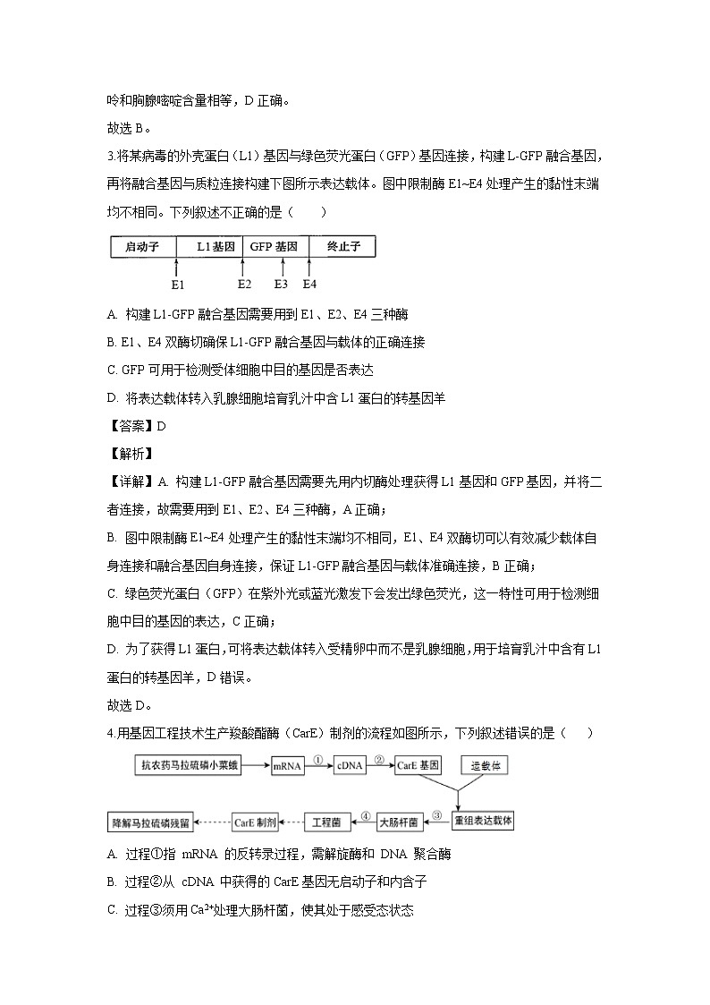 【生物】山东省德州市夏津一中2019-2020学年高二下学期期中考试试题（解析版）02