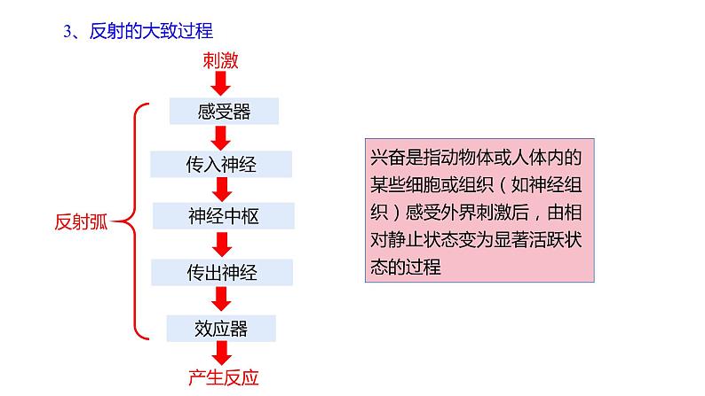 2.2 神经调节的基本方式  课件07