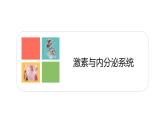 3.1 激素与内分泌系统  课件