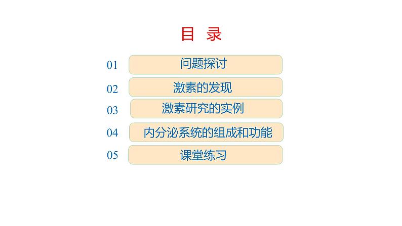 3.1 激素与内分泌系统  课件02