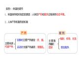 3.3 体液调节与神经调节的关系  课件