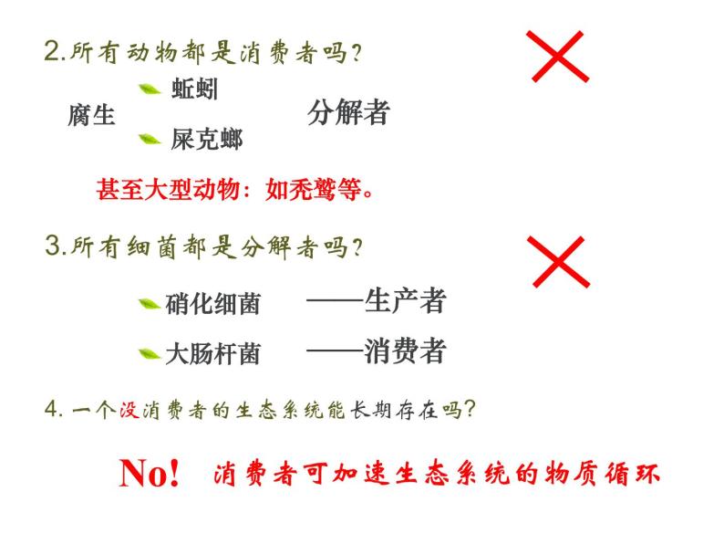 人教版高二生物必修3课件：5.1 生态系统的结构 （共45张PPT）08