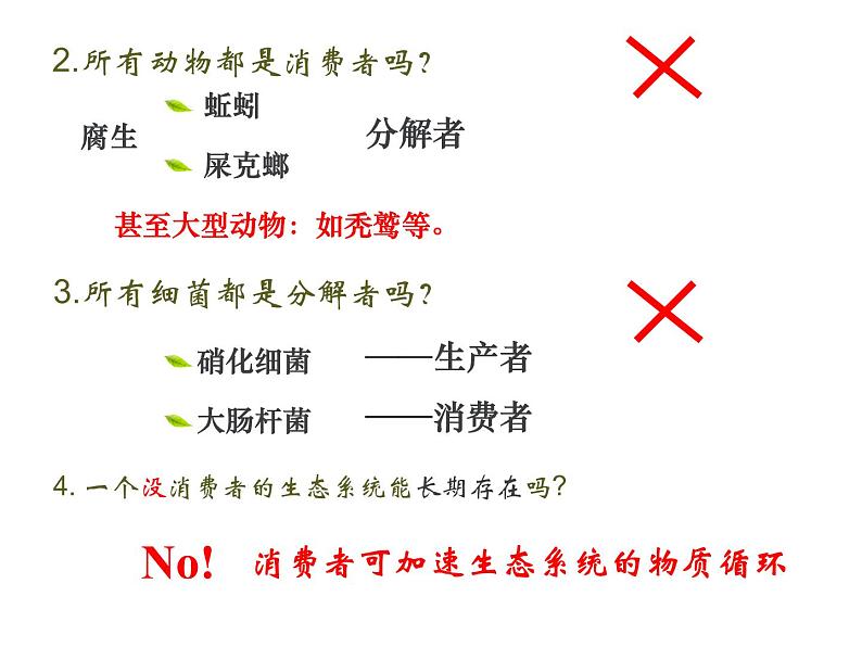 人教版高二生物必修3课件：5.1 生态系统的结构 （共45张PPT）08