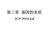 高中人教版生物必修二課件：第3章 第3節(jié)《DNA的復(fù)制》課件（共20 張PPT）
