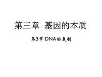 人教版 (新课标)必修2《遗传与进化》第3节 DNA的复制教课内容课件ppt