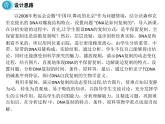 高中人教版生物必修二課件：第3章 第3節(jié)《DNA的復(fù)制》課件（共20 張PPT）