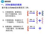 高中人教版生物必修二課件：第3章 第3節(jié)《DNA的復(fù)制》課件（共20 張PPT）