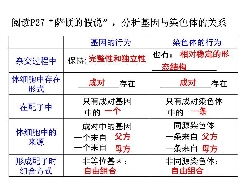 高中人教版生物必修二课件：第2章 第2节《基因在染色体上》课件（共24 张PPT）05