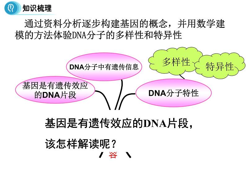 高中人教版生物必修二课件：第3章 第4节《基因是有遗传效应的DNA片段》课件（共 20张PPT）04