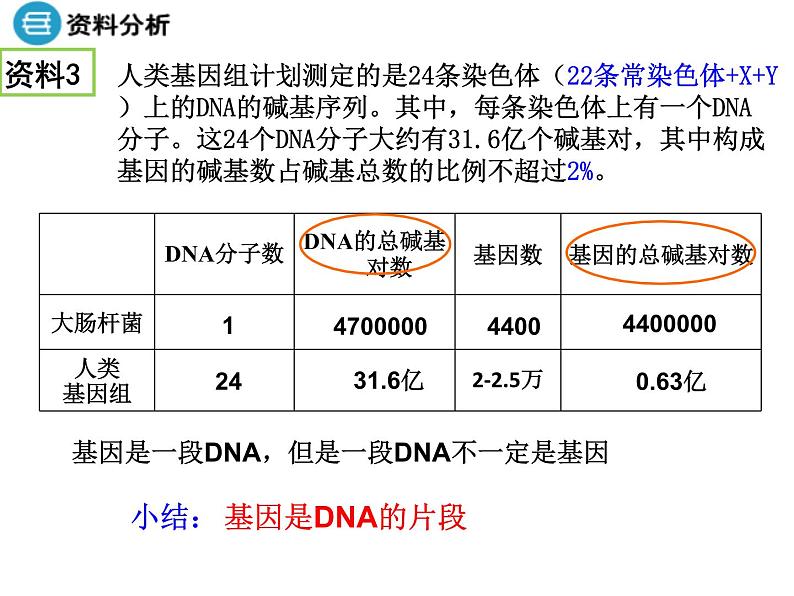 高中人教版生物必修二课件：第3章 第4节《基因是有遗传效应的DNA片段》课件（共 20张PPT）08