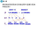 高中人教版生物必修二课件：第1章 第2节《孟德尔的豌豆杂交实验（二）》课时 2课件（共18 张PPT）